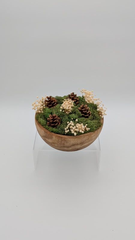 Woodland Scatter