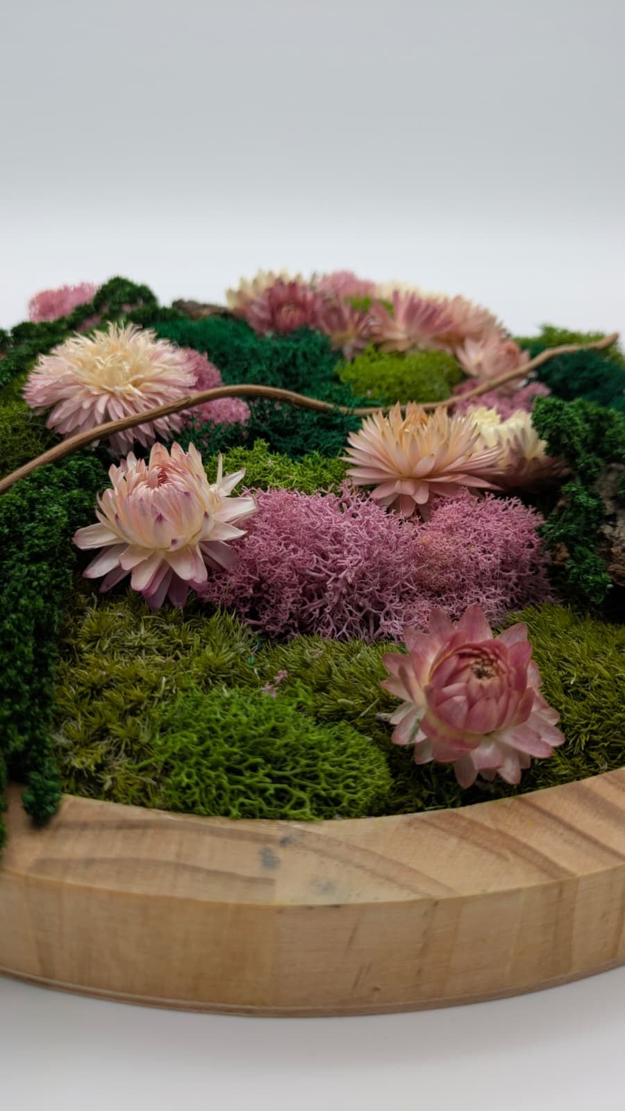 Soft Meadow