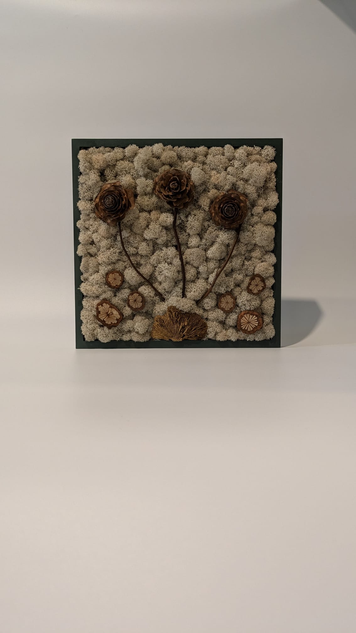 Three Bloom