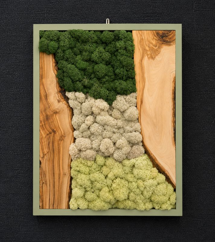 Moss Divide