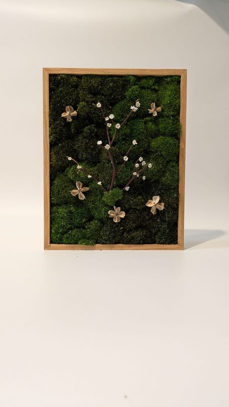 Branch Study