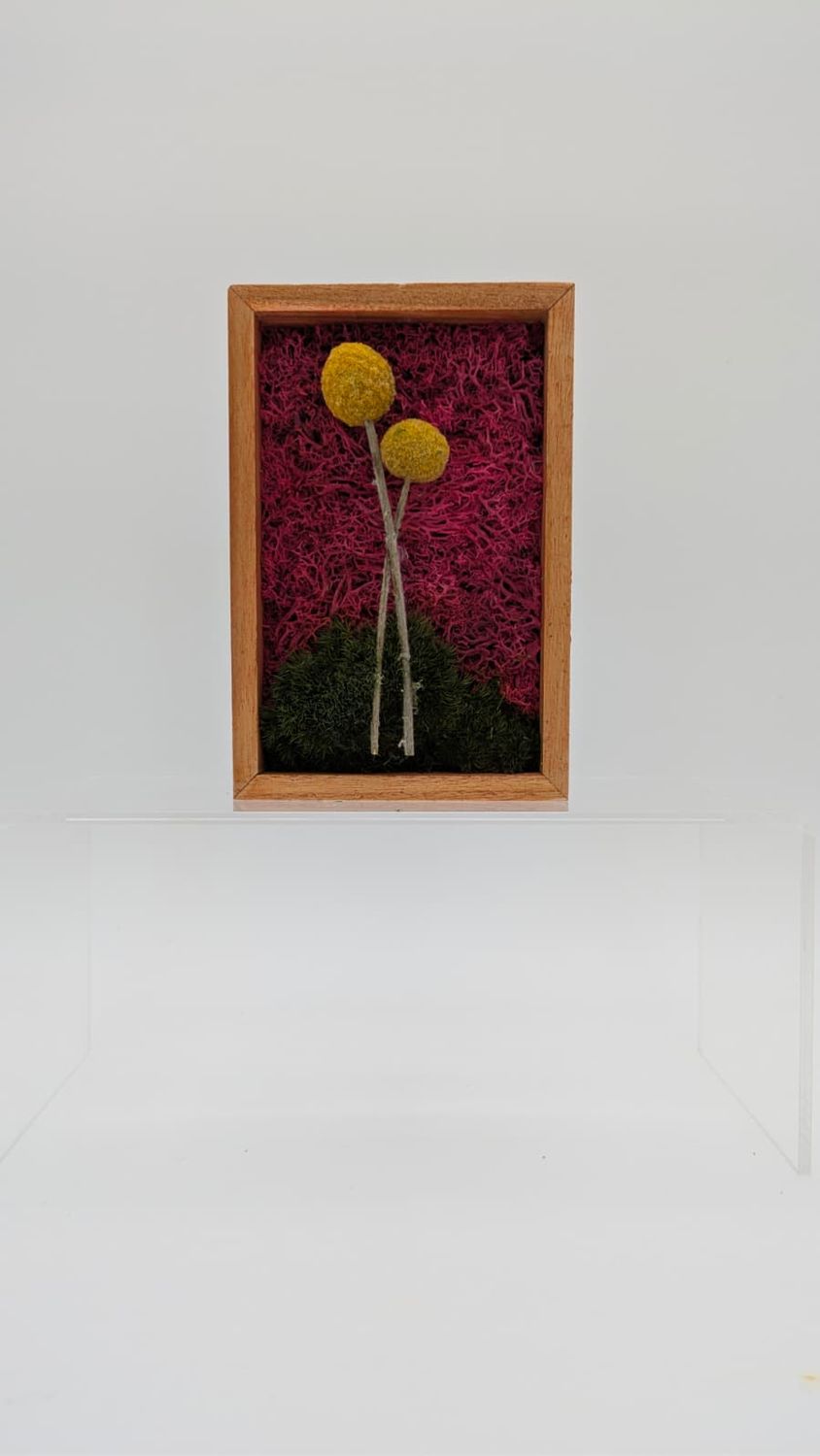 Golden Stem