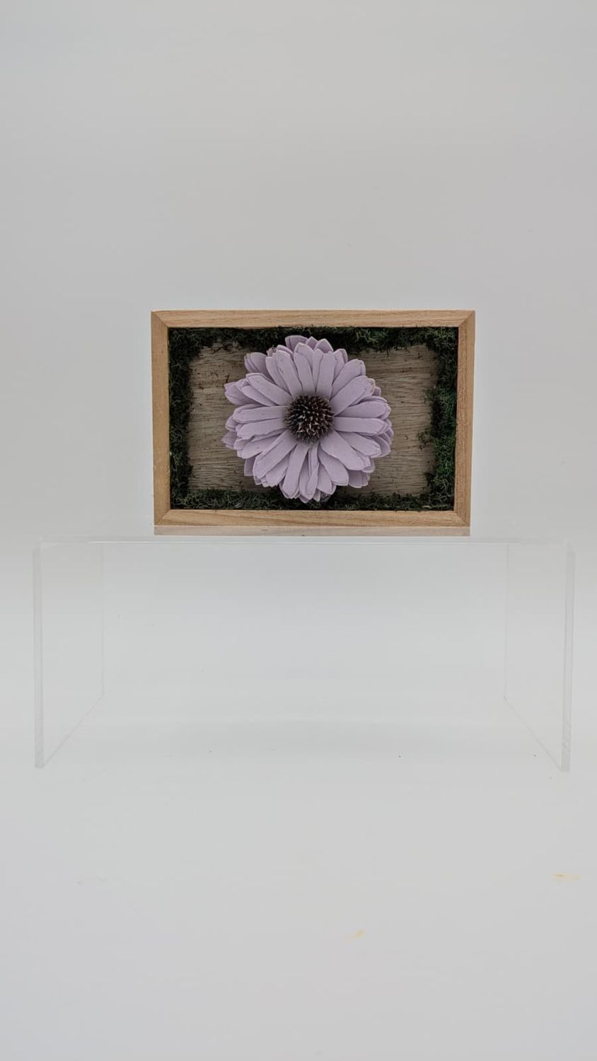 Single Bloom
