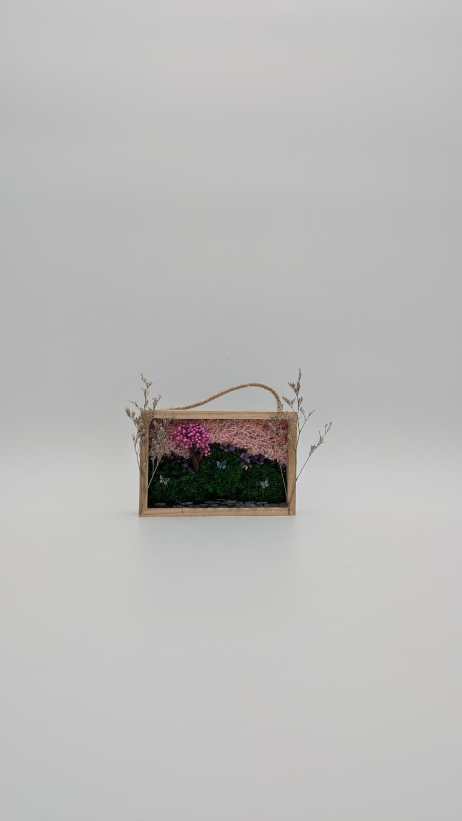 Meadow Story