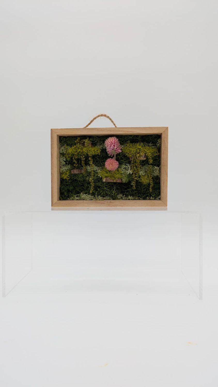 Hanging Garden