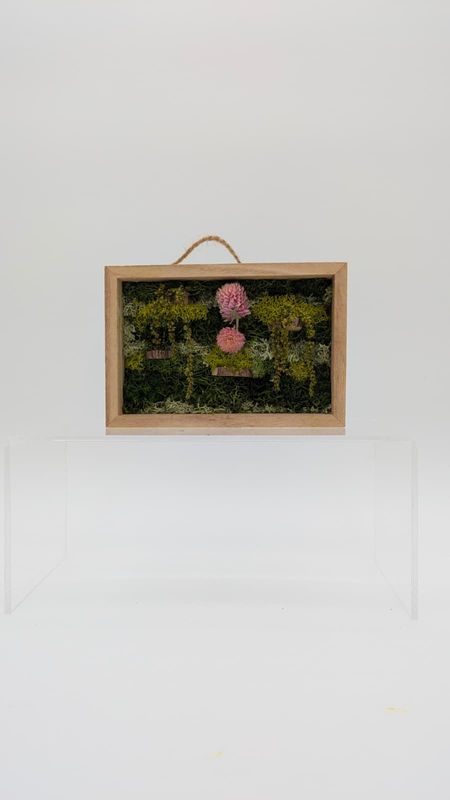 Hanging Garden