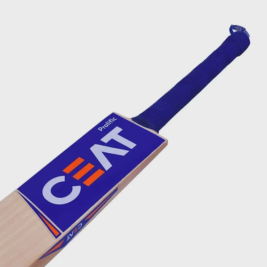 CEAT Prolific Kashmir Willow Bat