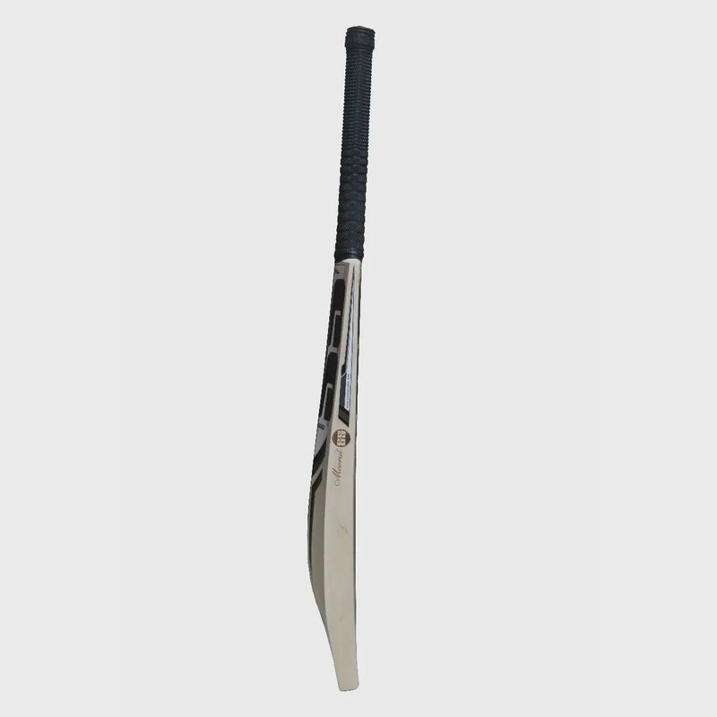 SS SKY 360 English Willow Cricket Bat
