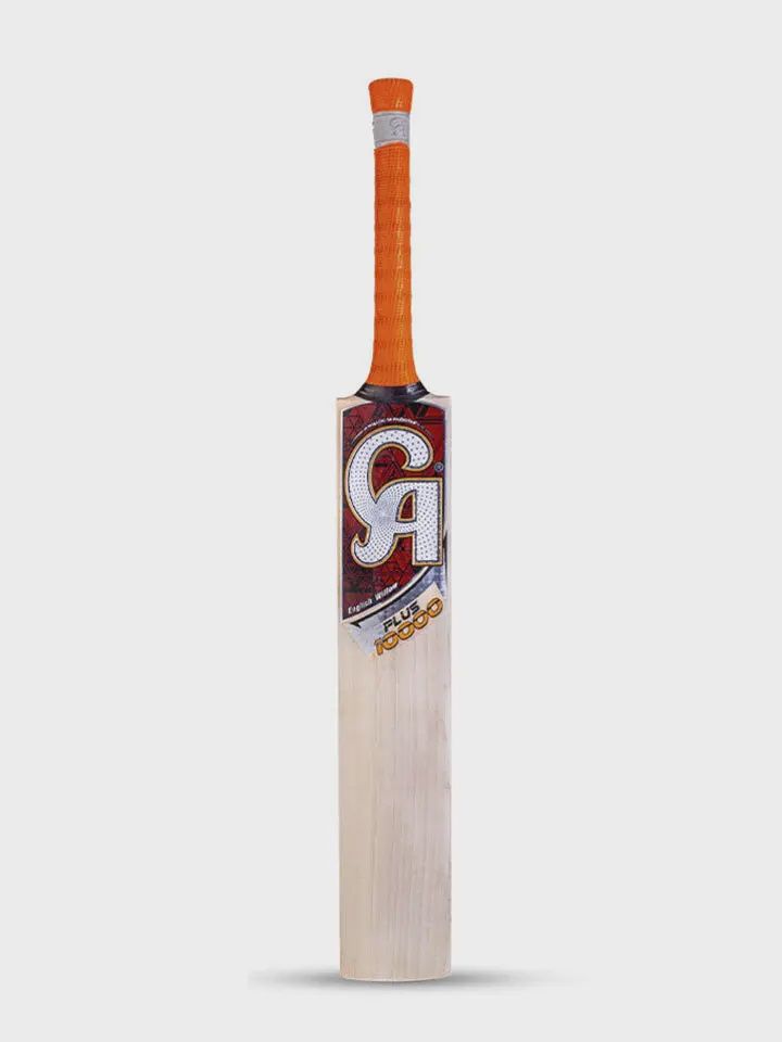 DSC Intense Attitude English Willow Bat