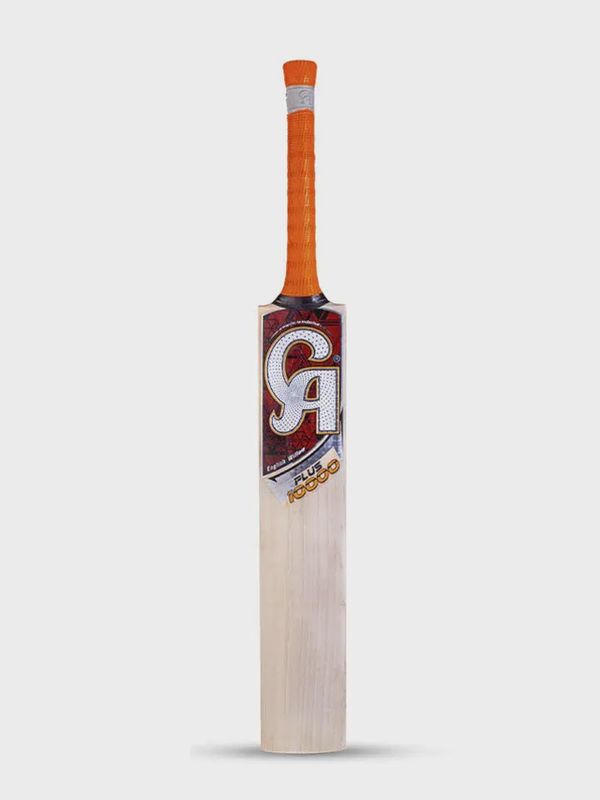 DSC Intense Attitude English Willow Bat