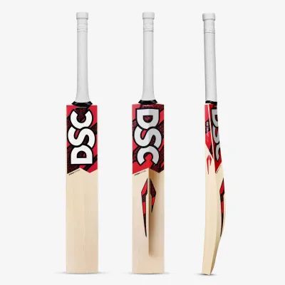 DSC Intense Attitude English Willow Bat