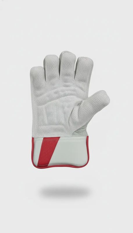 NK Wicket Keeping Gloves