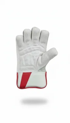 NK Wicket Keeping Gloves
