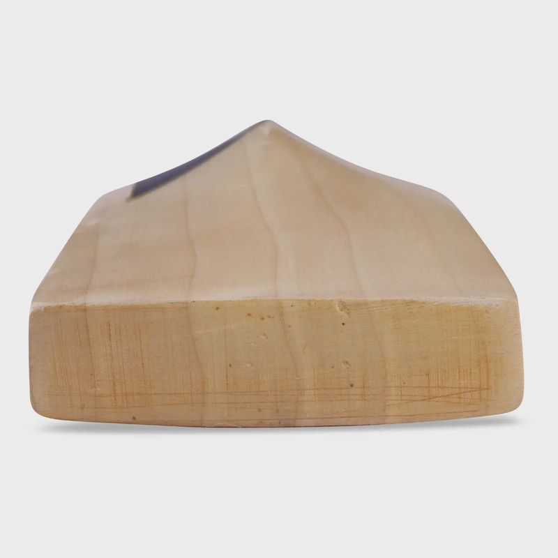 SG Triple Crown Icon English Willow Bat
