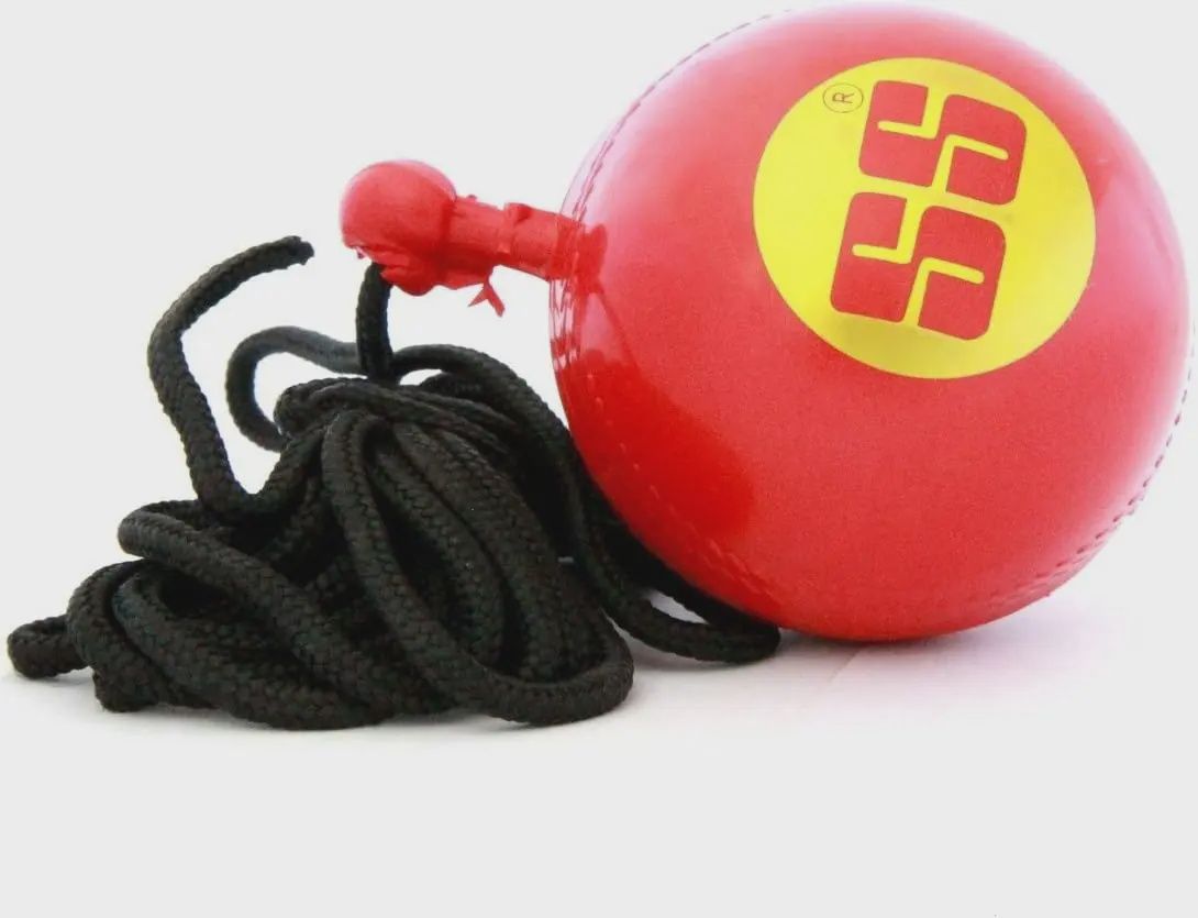 SS Hanging Ball