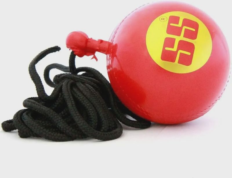 SS Hanging Ball