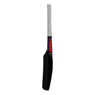 SS R-7 English Willow Catch Practice Bat