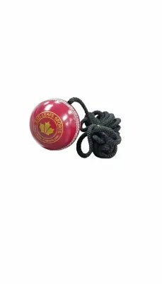 RLS Hanging Balls