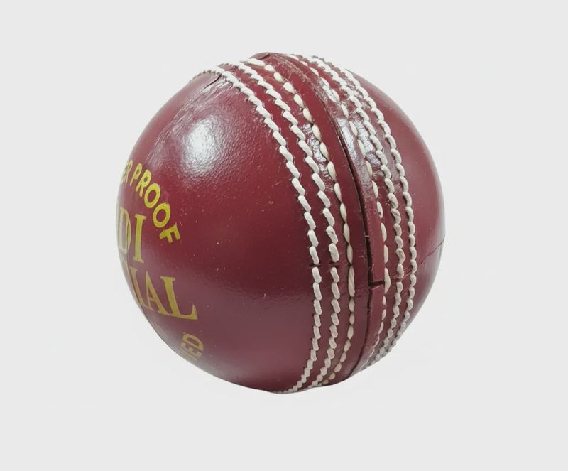 Red Leafs ODI Special Leather Ball