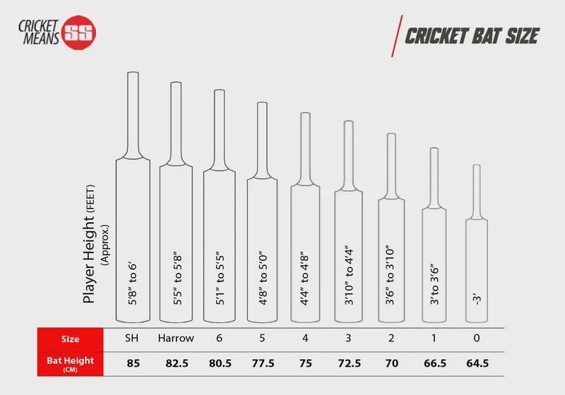 SS SKY SUPER Kashmir Willow Cricket Bat