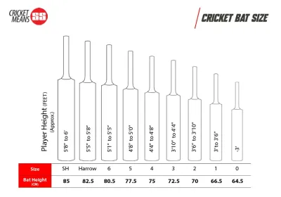 SS SKY SUPER Kashmir Willow Cricket Bat