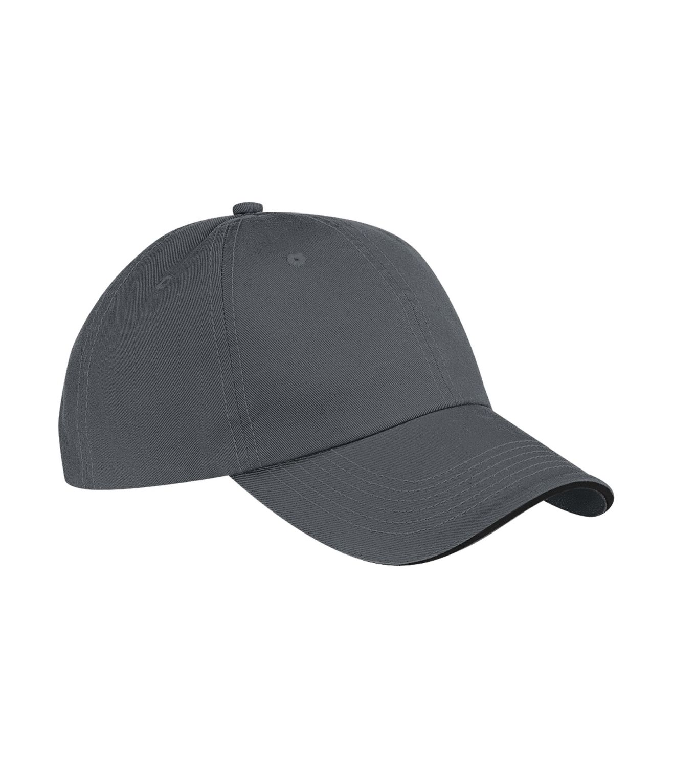 Sandwich Bill Cap