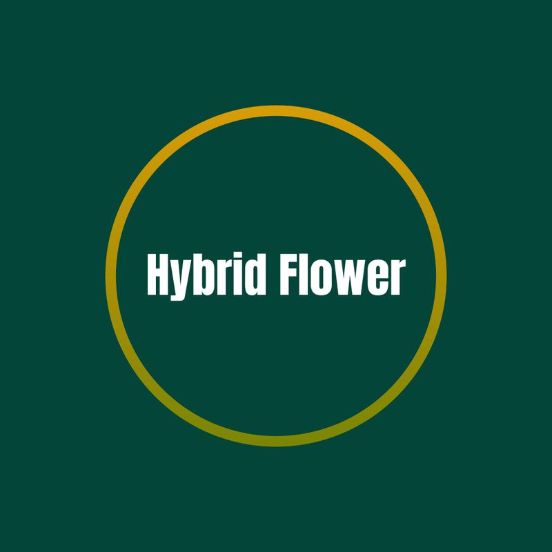 Hybrid Flower
