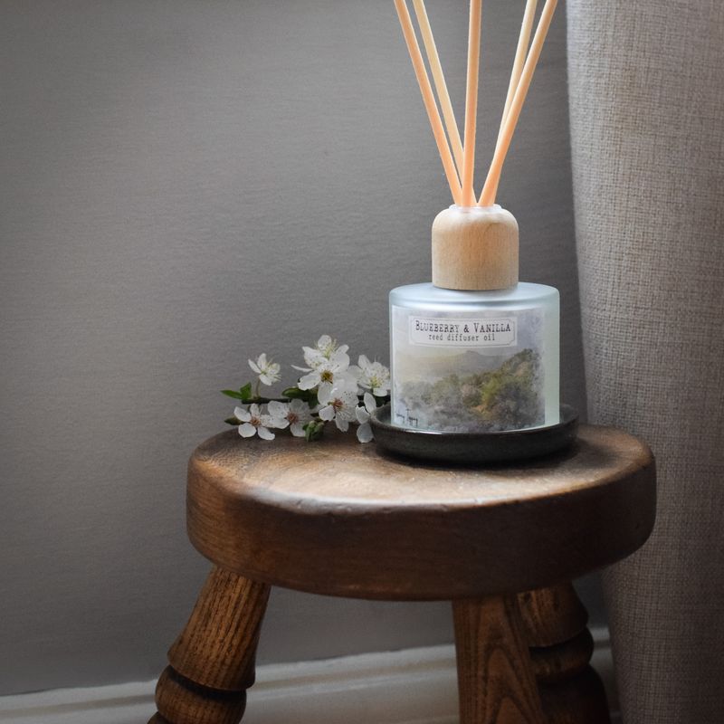 Blueberry & Vanilla reed diffuser oil