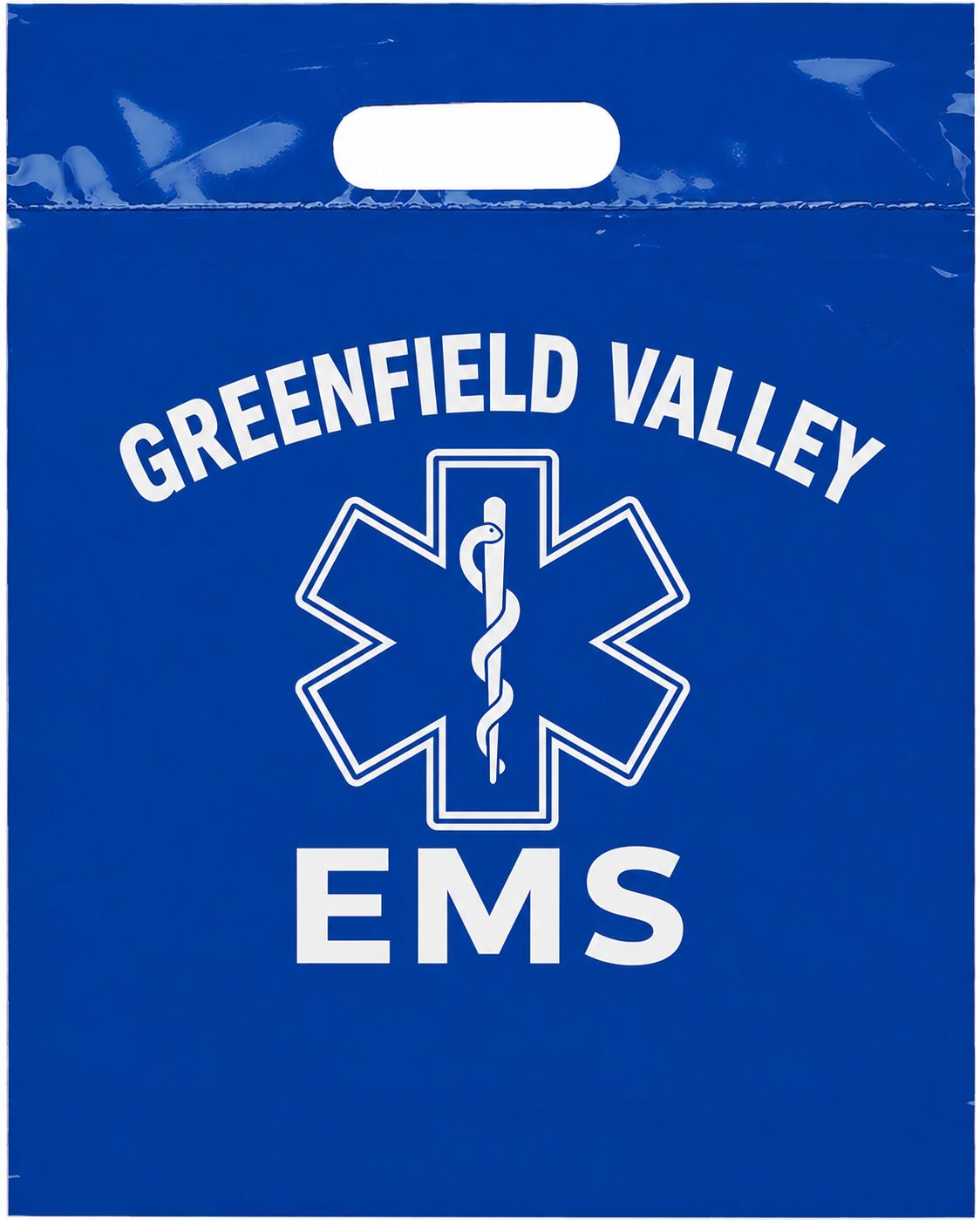 EMS Plastic Program Bags
