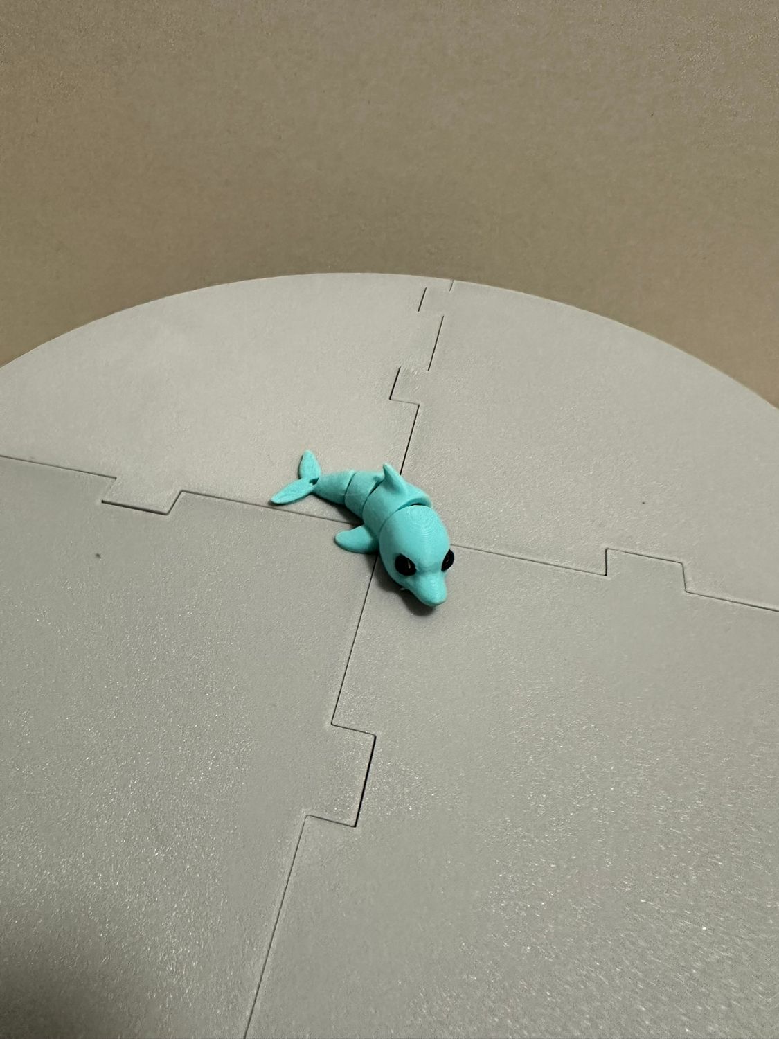 Dolphin Fidget