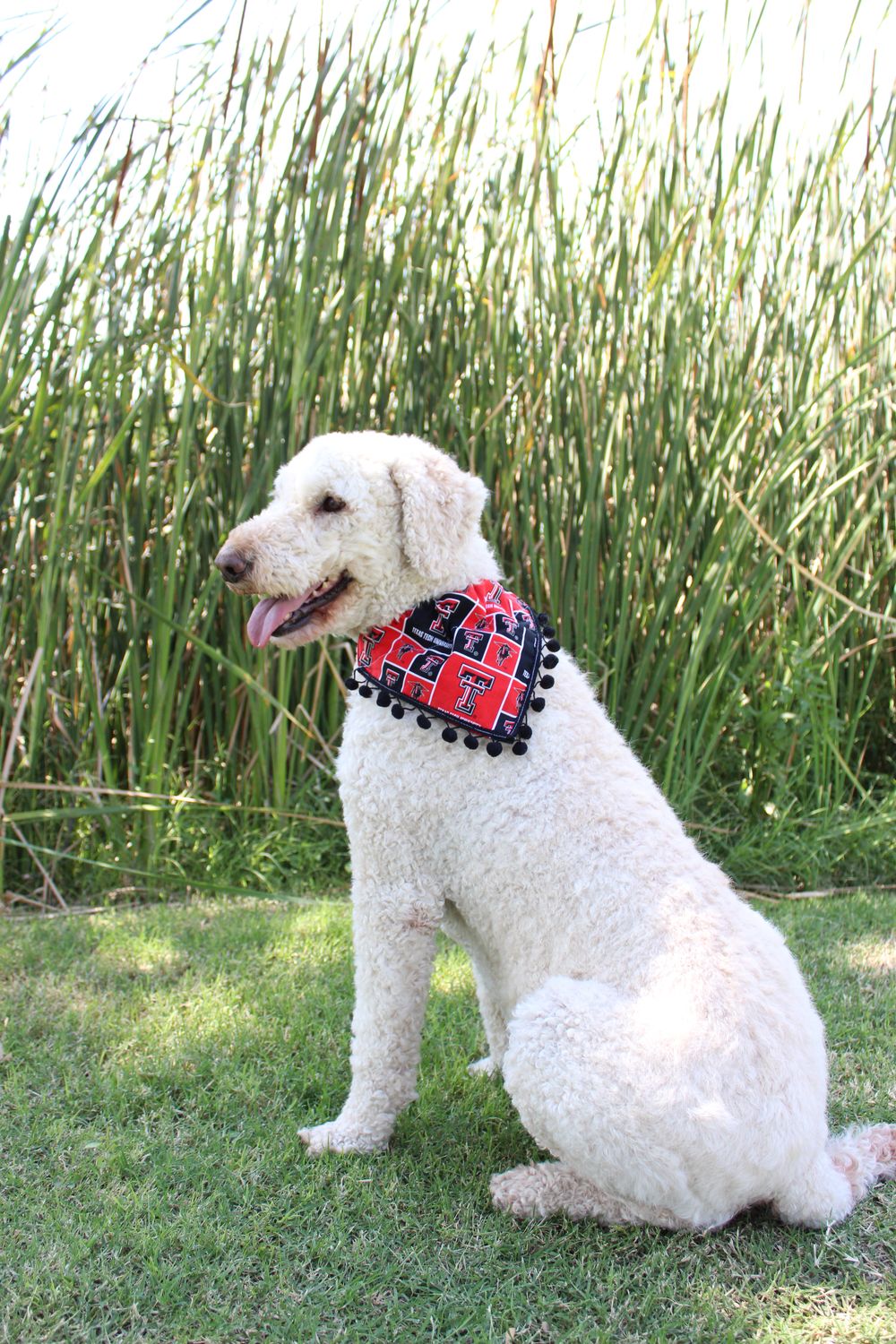 Dog Bandana - Size LG