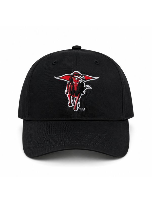 Masked Rider Casual Twill Cap