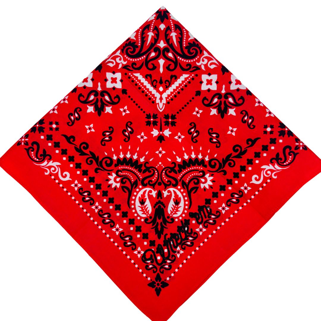 Game Day Bandana