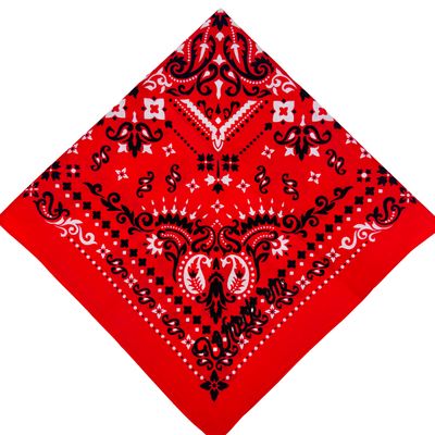 Game Day Bandana