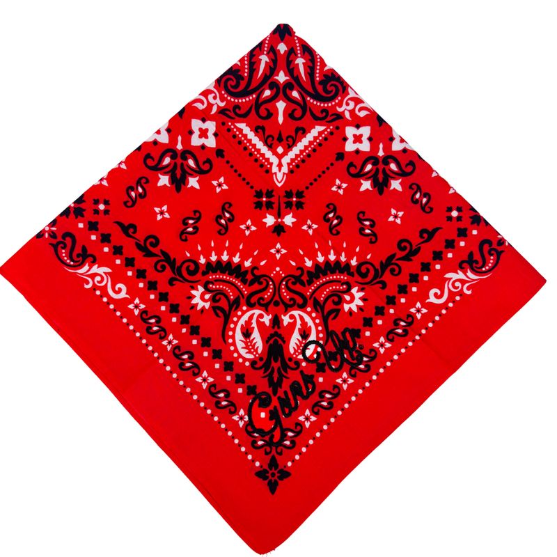 Game Day Bandana