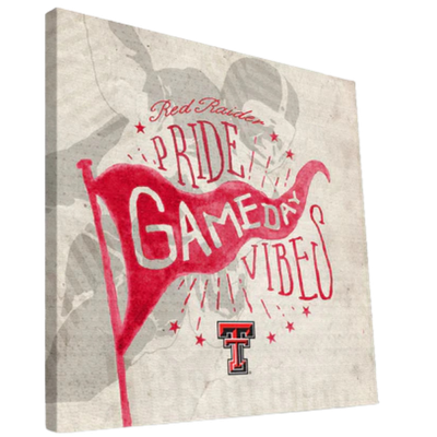 Game Day Vibes Canvas 16x16