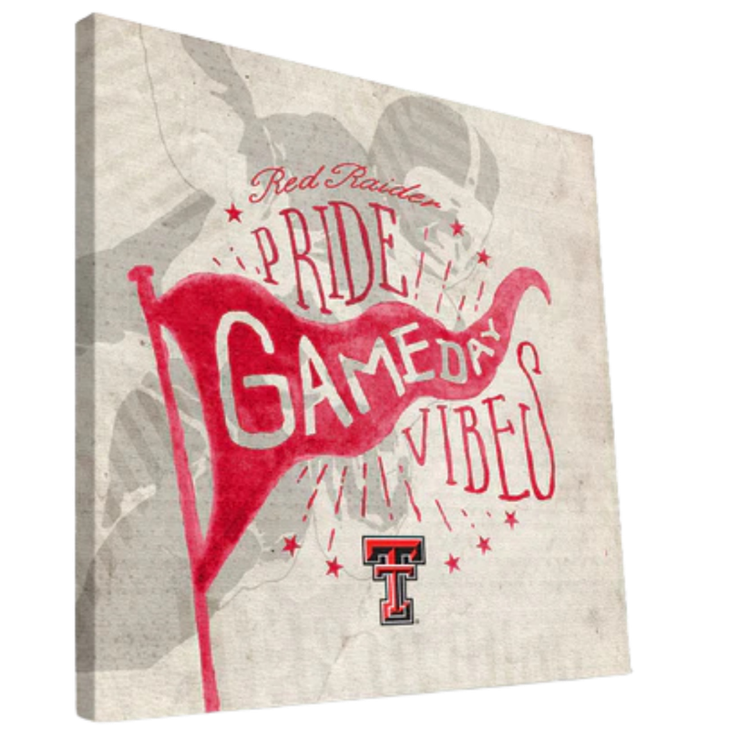Game Day Vibes Canvas 16x16