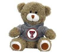 Teddy Bear with Hoodie