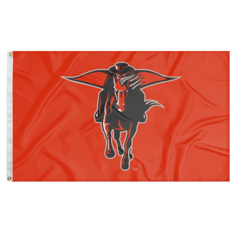 Masked Rider 3X5 Red Flag