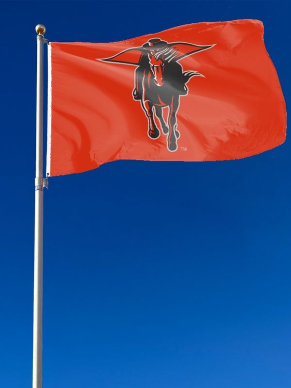 Masked Rider Flag