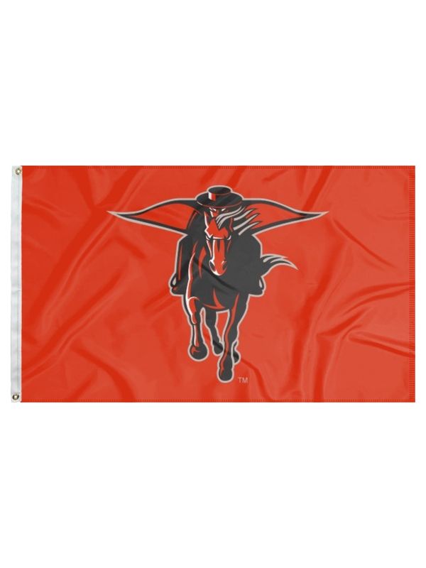 Masked Rider Flag