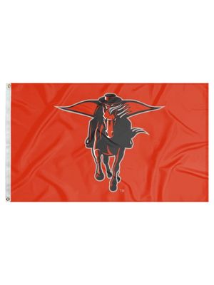 Masked Rider Flag