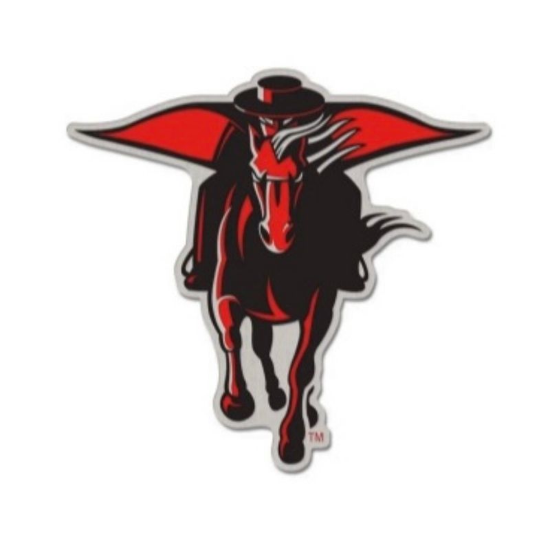 Collectible Pin - Masked Rider