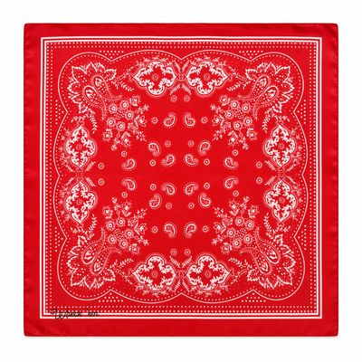 Silk Scarf