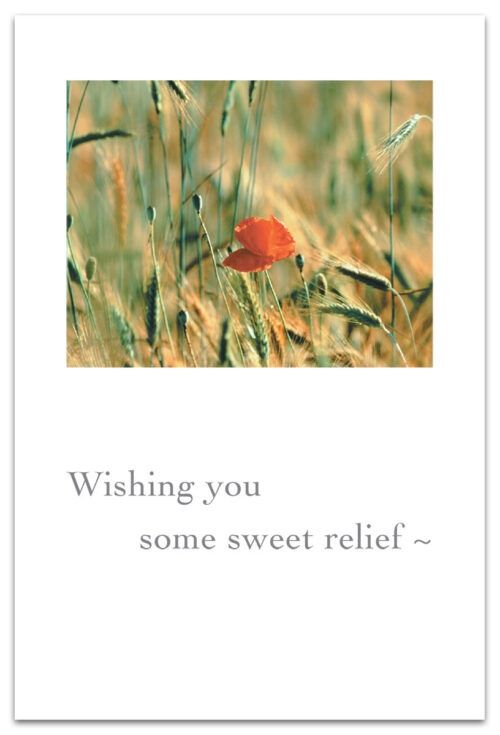 CARD GW ORANGE POPPY