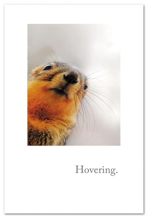 CARD GW HOVERING SQUIRREL