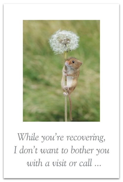 CARD GW MOUSE ON DANDELION PUFF