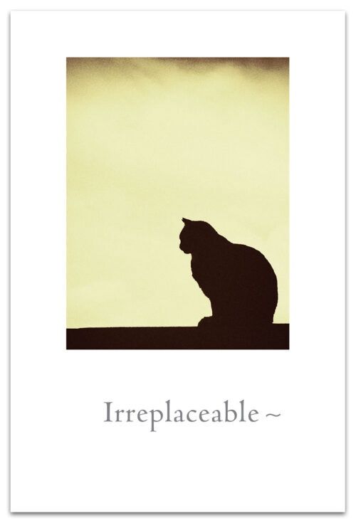 CARD, PET CONDOLENCE, CAT SILHOUETTE