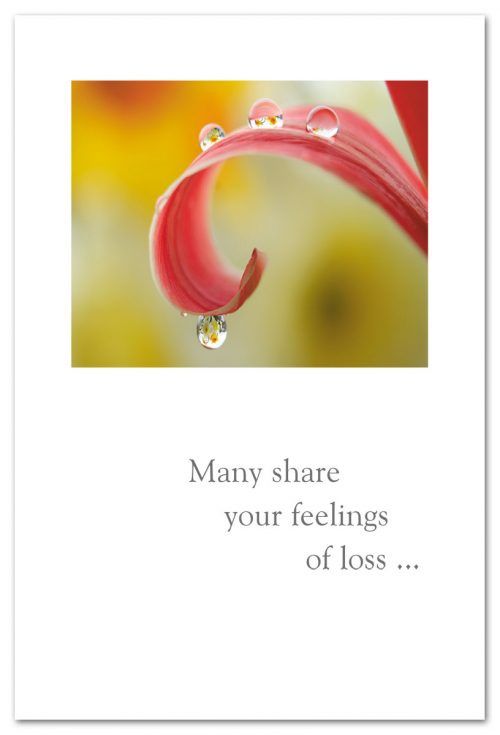 CARD, CONDOLANCE DEWDROPS ON PINK  PETAL   Cardthartic PETAL, Cardthartic