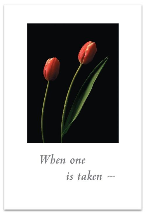 CARD, condolence, TWO RED TULIPS